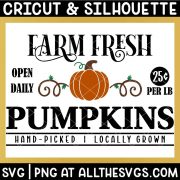 pumpkin with price svg file.