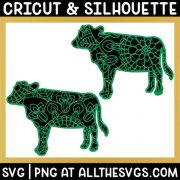 2 versions of cow heifer farm animal svg file mandala center from belly and tail