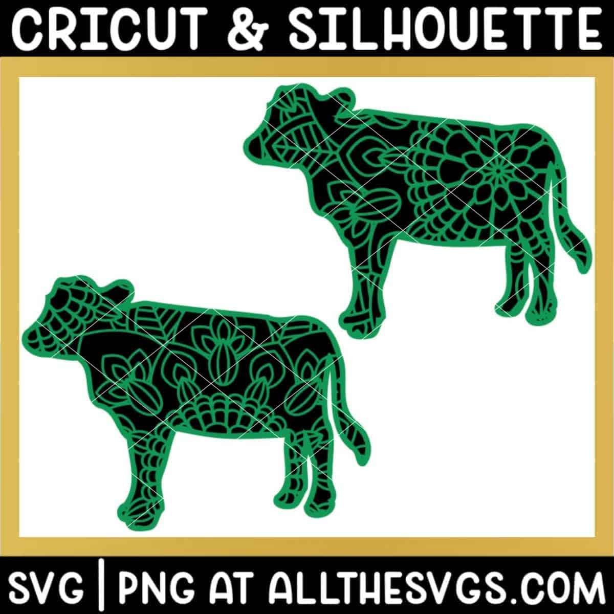 2 versions of cow heifer farm animal svg file mandala center from belly and tail.