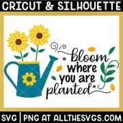 free sunflower quote bloom where you are planted svg png with watering can
