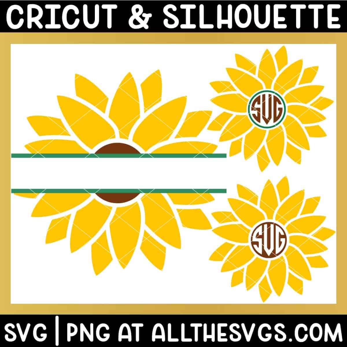 free simple sunflower circle monogram and split monogram svg png.