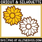 free sunflower outline svg png in 1 layer
